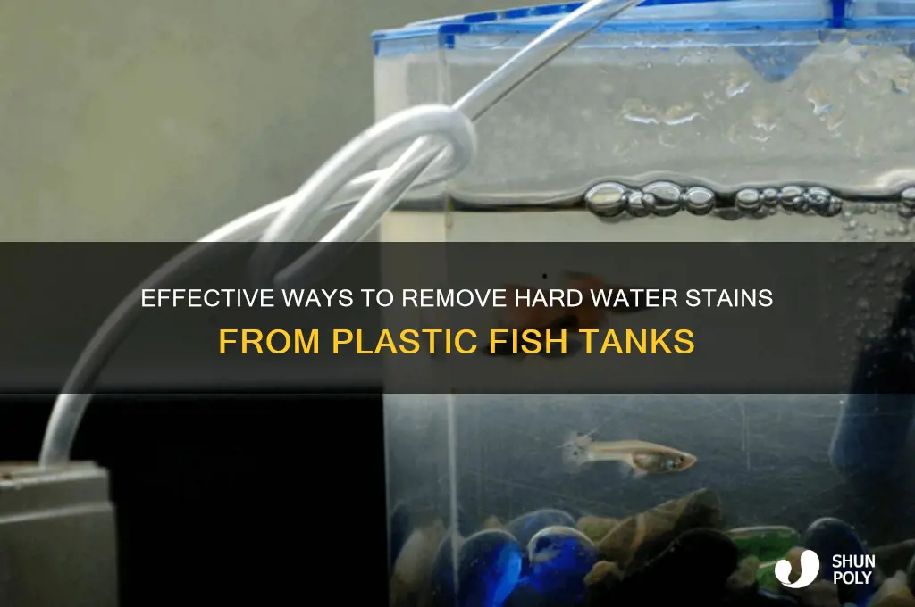 how to remove hard water stains from plastic fish tank