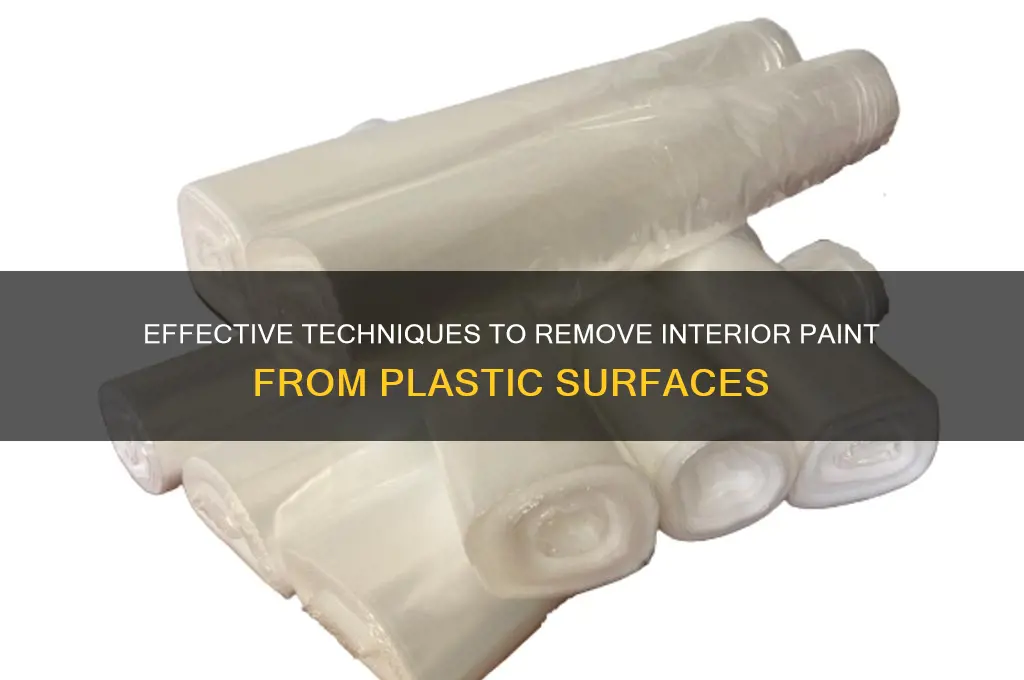 how to remove interior paint from plastic