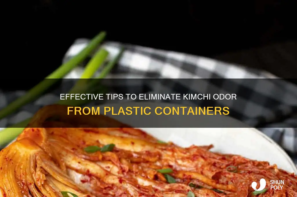 how to remove kimchi smell from plastic