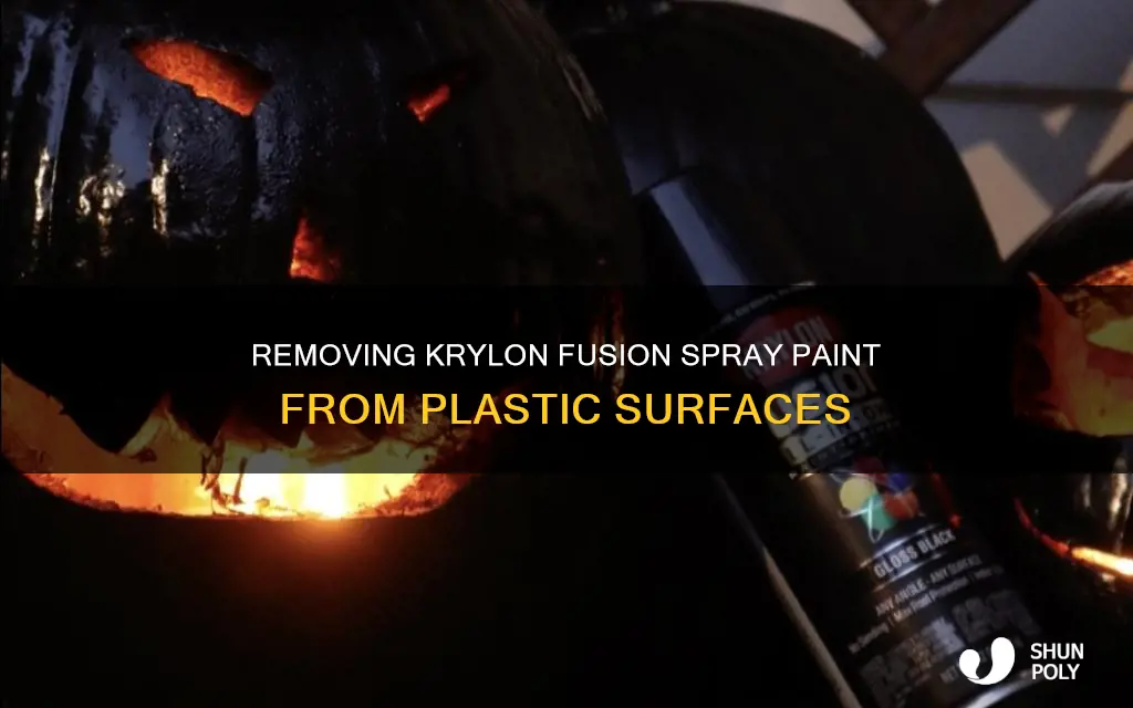 how to remove krylon fusion spray paint from plastic