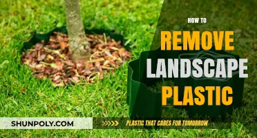 Eco-Friendly Guide: Removing Landscape Plastic Safely and Effectively