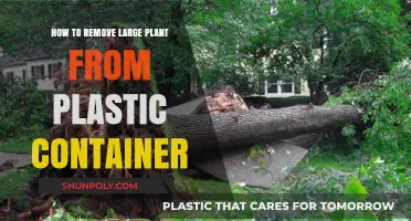 Efficiently Uprooting Large Plants from Plastic Containers: A Step-by-Step Guide