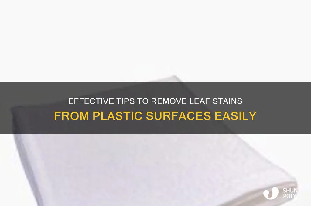 how to remove leaf stains from plastic
