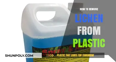 Effective Methods to Remove Lichen from Plastic Surfaces Easily