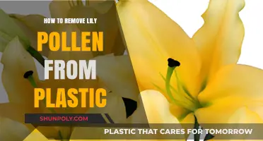 Quick Tips for Removing Lily Pollen Stains from Plastic Surfaces
