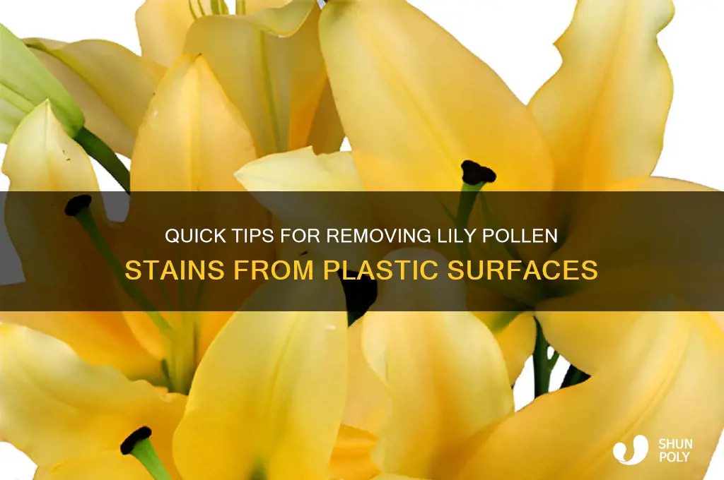 how to remove lily pollen from plastic