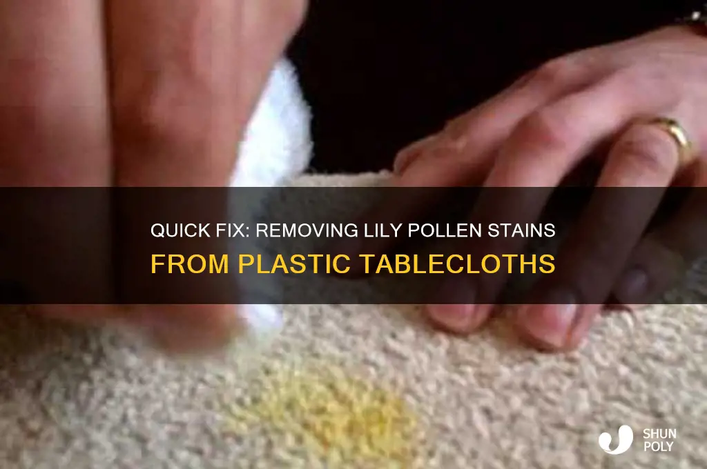 how to remove lily pollen stains from plastic tablecloth
