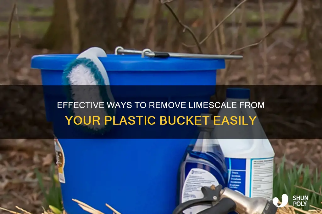 how to remove limescale from plastic bucket