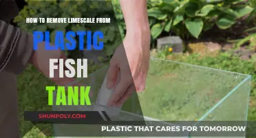 Effective Ways to Remove Limescale from Your Plastic Fish Tank
