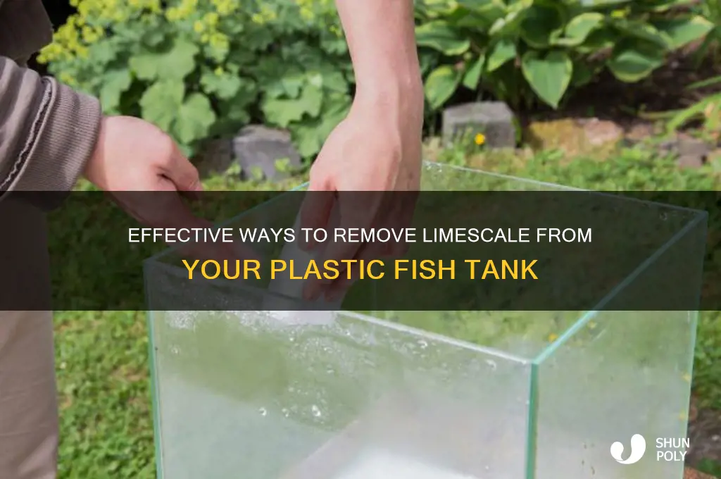 how to remove limescale from plastic fish tank