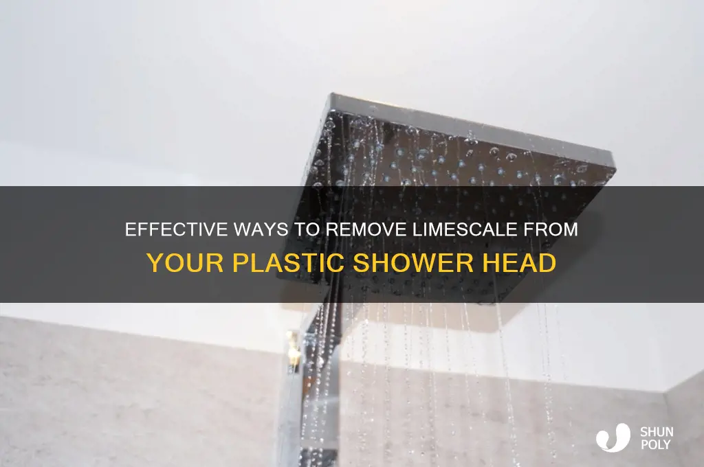 how to remove limescale from plastic shower head
