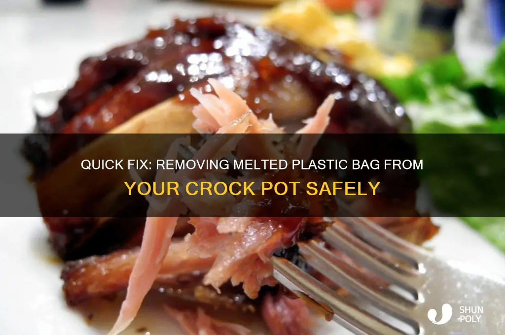 how to remove melted plastic bag from crock pot