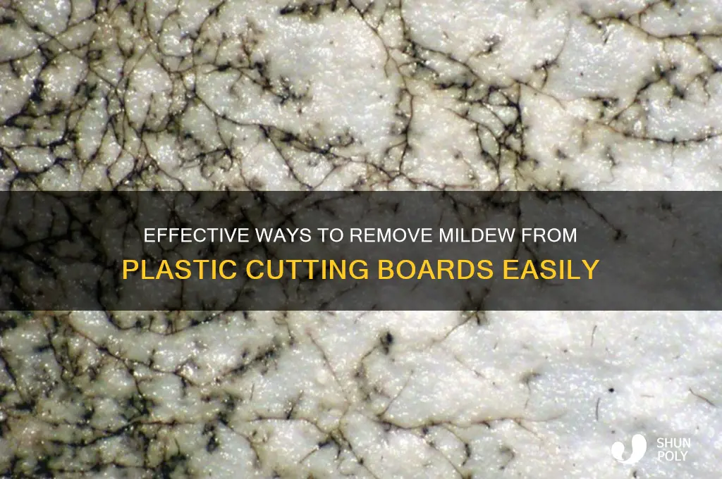 how to remove mildew from plastic cutting board