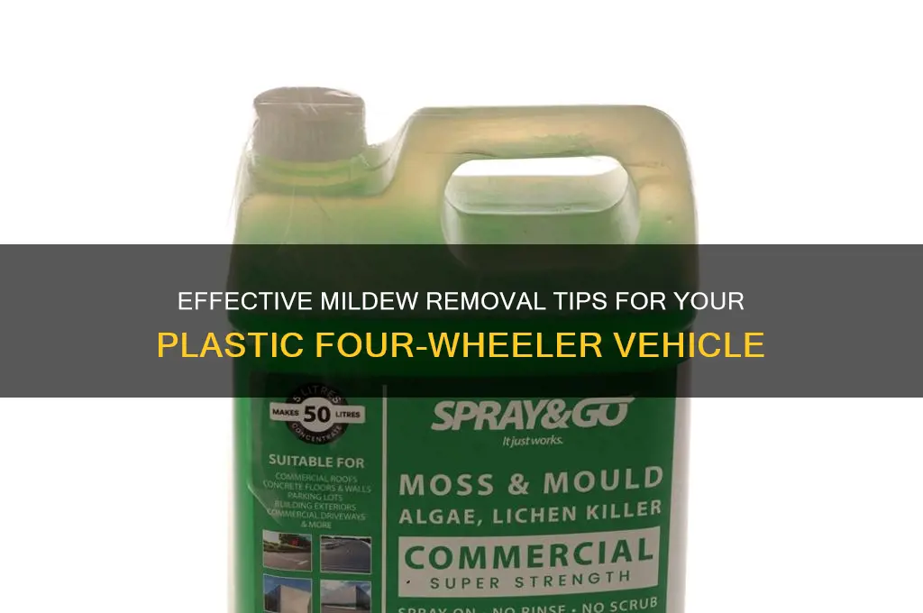 how to remove mildew from plastic four-wheeler