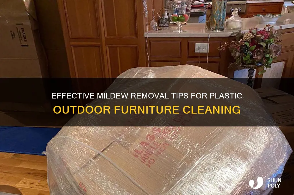 how to remove mildew from plastic outdoor furniture