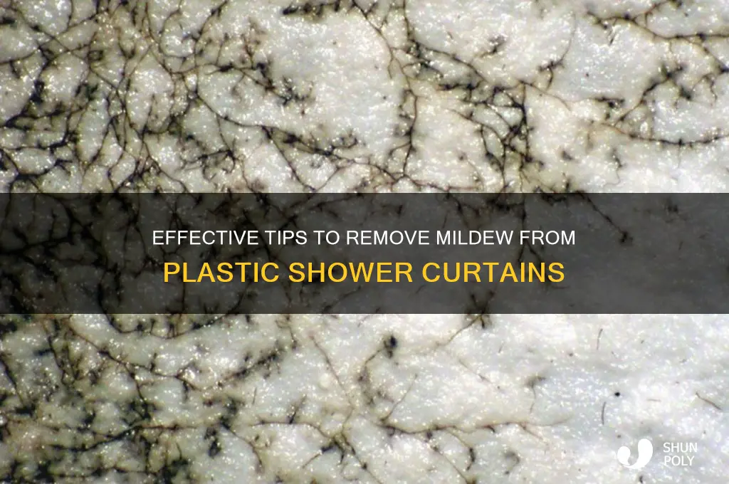 how to remove mildew from plastic shower curtain