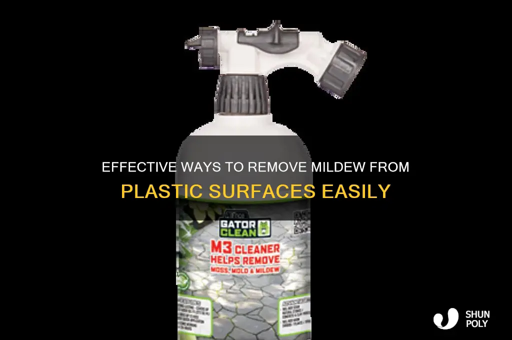 how to remove mildew from plastic