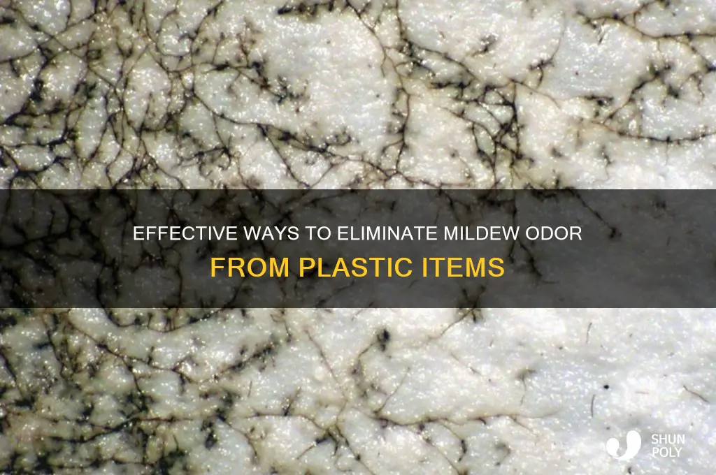 how to remove mildew smell from plastic