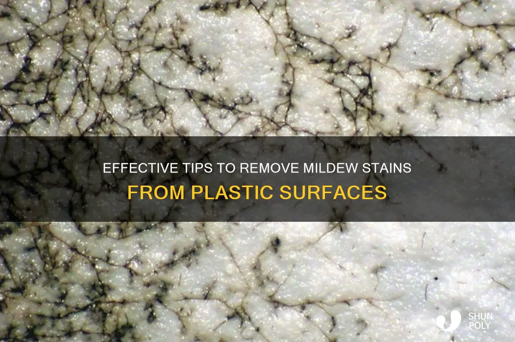 how to remove mildew stains from plastic