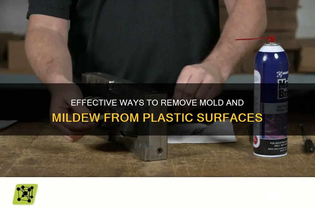 how to remove mold and mildew from plastic