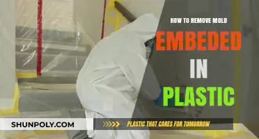 Effective Methods to Remove Embedded Mold from Plastic Surfaces