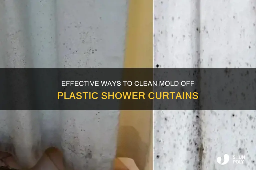 how to remove mold from a plastic shower curtain