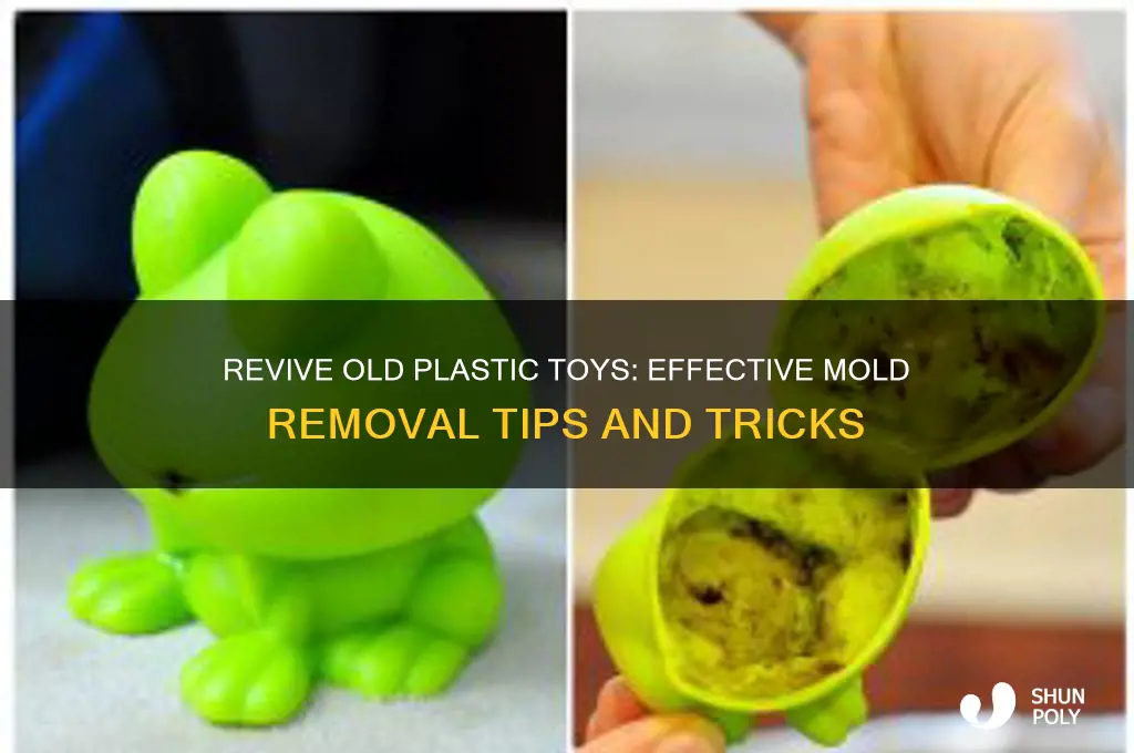 how to remove mold from old plastic toys