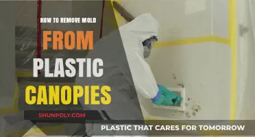 Effective Mold Removal Tips for Plastic Canopies: A Step-by-Step Guide