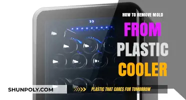 Effective Ways to Remove Mold from Your Plastic Cooler Easily