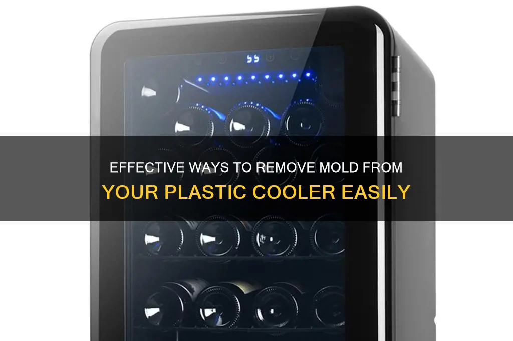 how to remove mold from plastic cooler