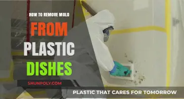 Effective Ways to Remove Mold from Plastic Dishes Safely