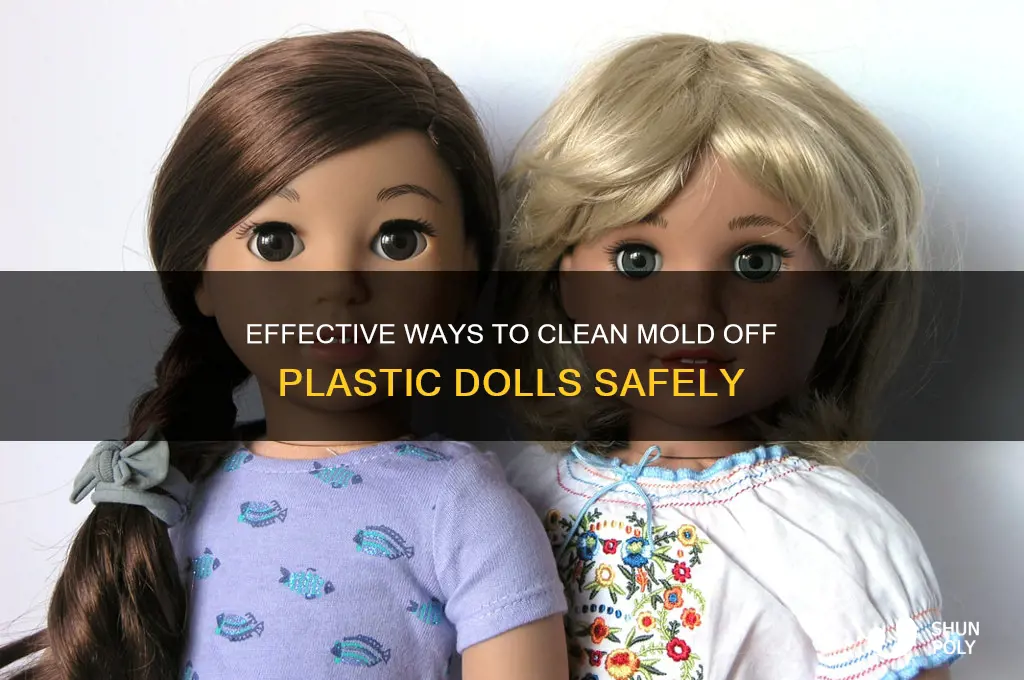 how to remove mold from plastic dolls