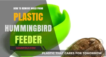 Effective Ways to Clean Mold from Plastic Hummingbird Feeders