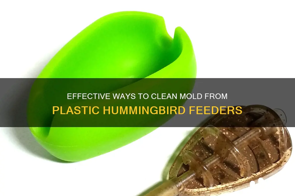 how to remove mold from plastic hummingbird feeder