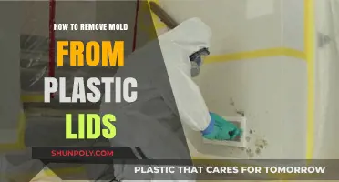 Effective Ways to Remove Mold from Plastic Lids Easily