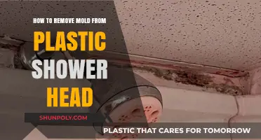 Effective Ways to Clean Mold from Your Plastic Shower Head