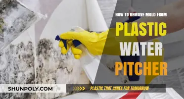 Effective Ways to Remove Mold from Your Plastic Water Pitcher