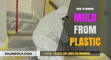 Effective Ways to Remove Mold from Plastic Surfaces Easily