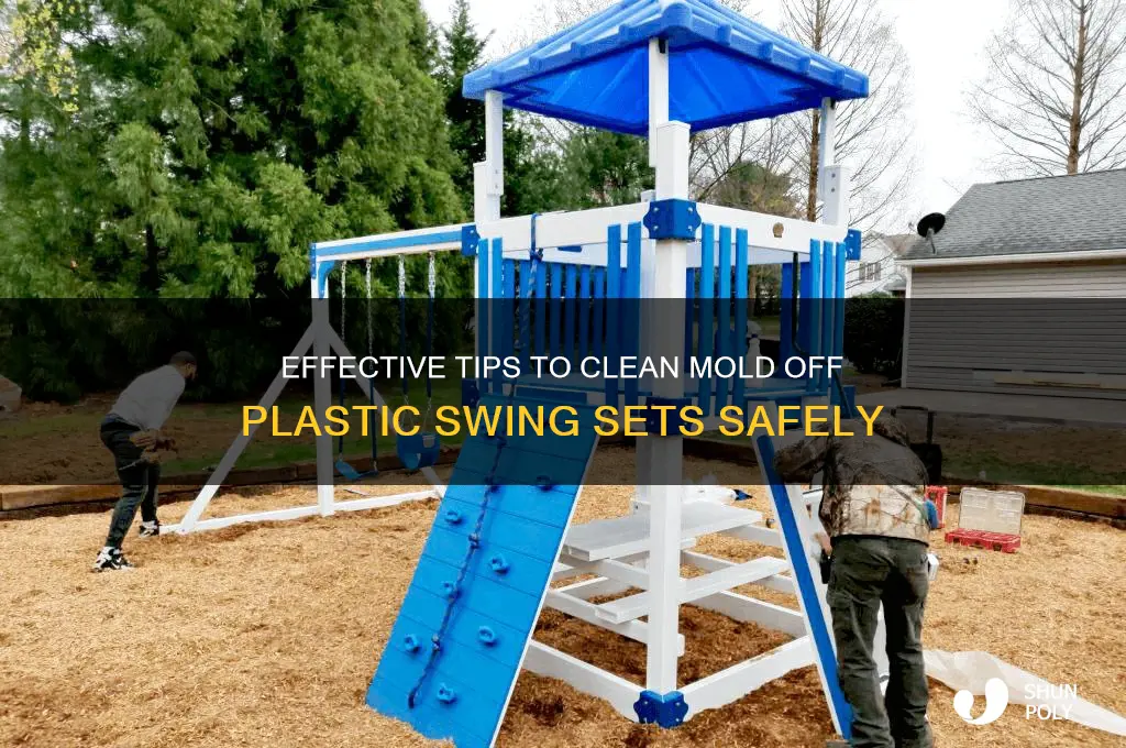 how to remove mold from swing set plastic