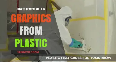 Effective Mold Removal Techniques for Plastic Graphics Restoration