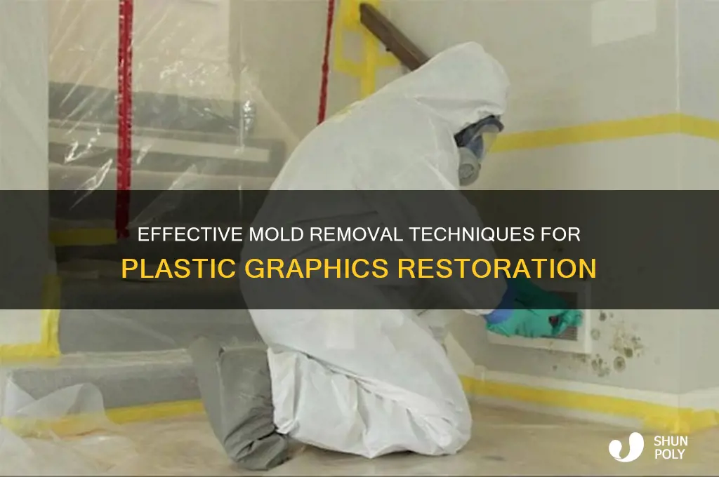 how to remove mold in graphics from plastic