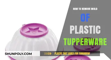 Effective Ways to Remove Mold from Plastic Tupperware Containers