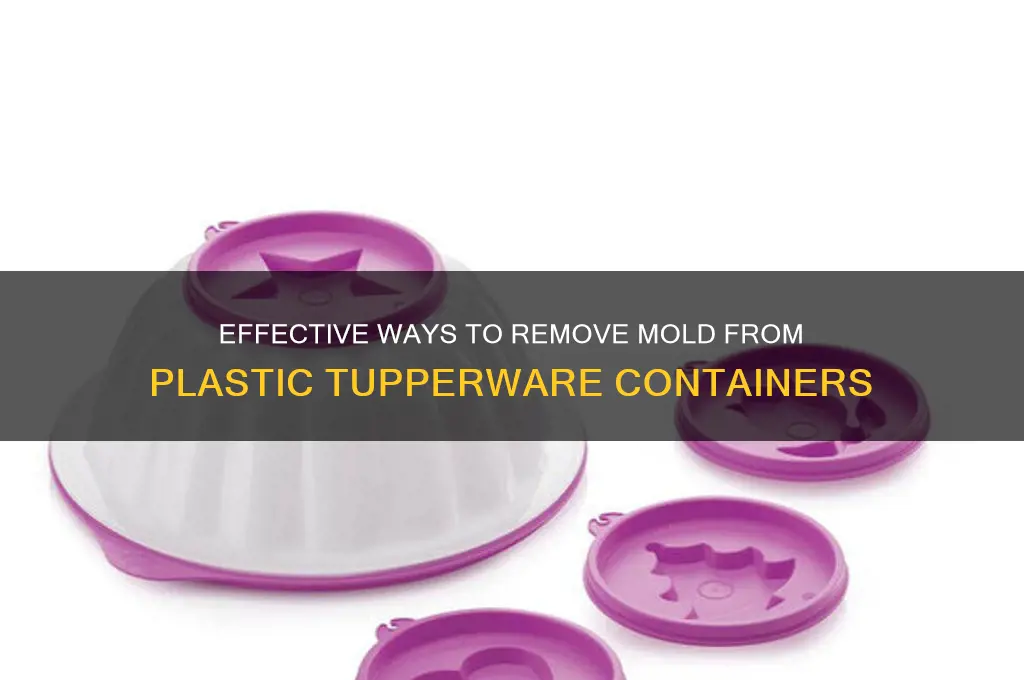 how to remove mold of plastic tupperware