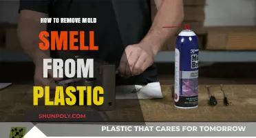 Effective Ways to Eliminate Mold Odor from Plastic Items