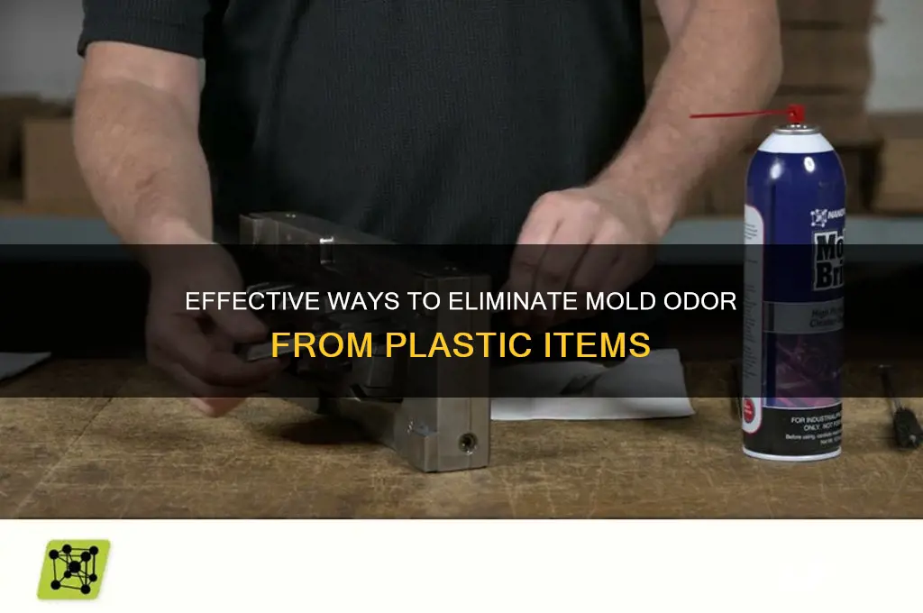 how to remove mold smell from plastic