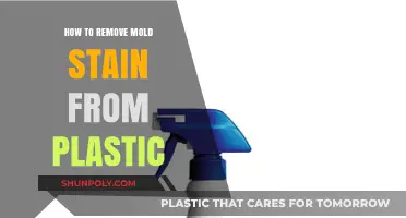 Effective Ways to Remove Mold Stains from Plastic Surfaces Easily