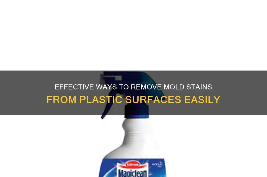 how to remove mold stain from plastic
