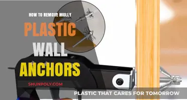 Efficiently Removing Molly Plastic Wall Anchors: A Step-by-Step Guide