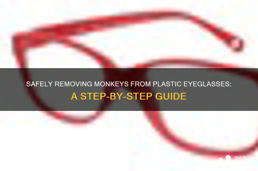 how to remove monkey from plastic eyeglasses