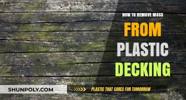 Effective Ways to Remove Moss from Plastic Decking Easily